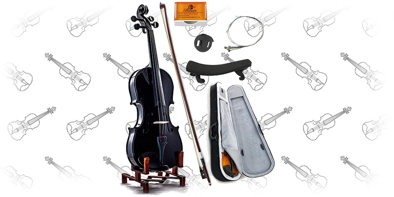 SKY 4/4 Full Size SKYVN201 Black Violin
