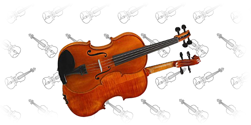 DZ Strad model 101 - Cheap Violins