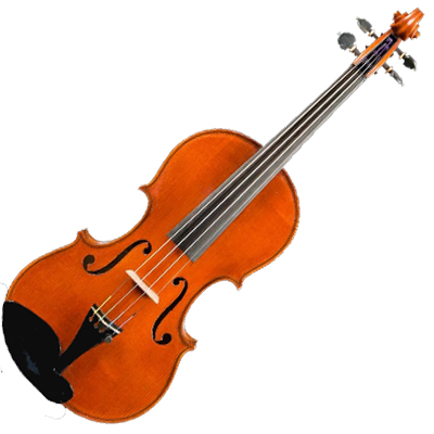 D Z Strad Violin Model 800