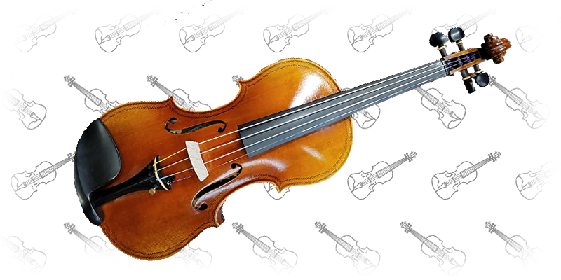D Z Strad Violin Model 326 – Gasparo da Salo