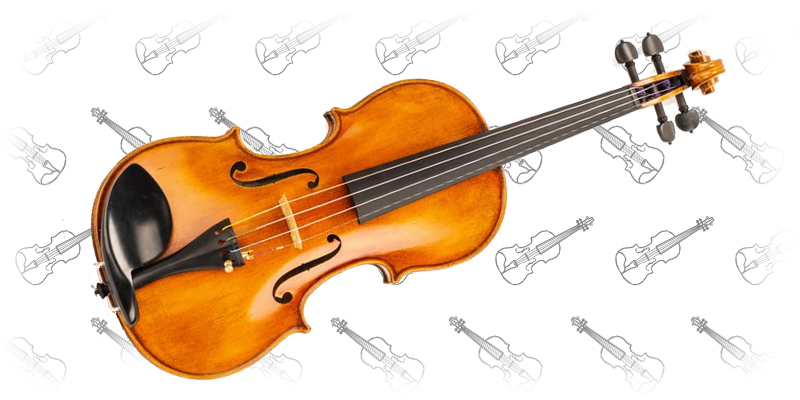 D Z Strad Violin Model 509