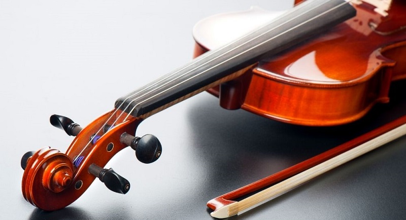 Ved en fejltagelse kort problem 5 Best Stentor Violins Review 2023 - Strings Kings