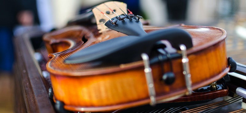 violin bottom perspective