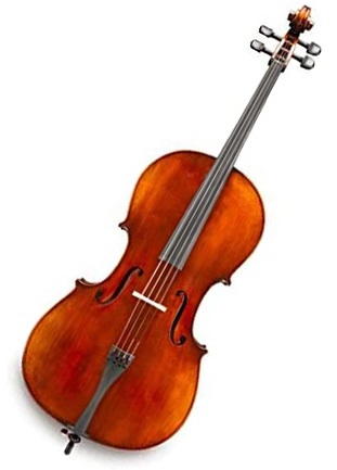 Andreas Eastman 305 Cello