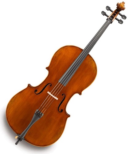 Andreas Eastman VC405 Cello