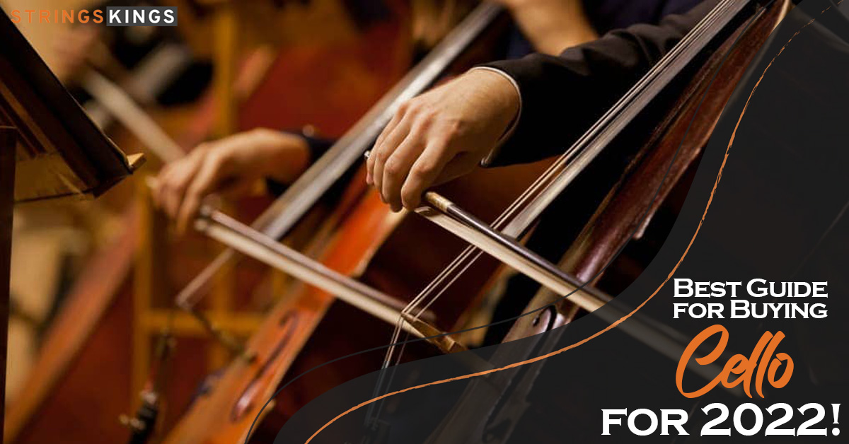 Best Violin Bridges: Our Top 10 Picks + Buyers Guide!