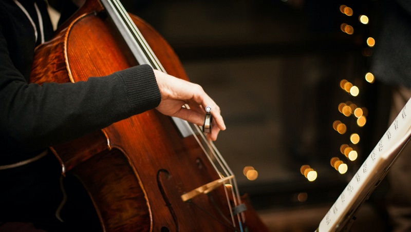 Best Guide for Buying a Cello