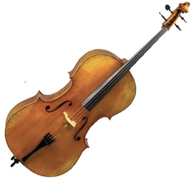 Cello D Z Strad Model 600