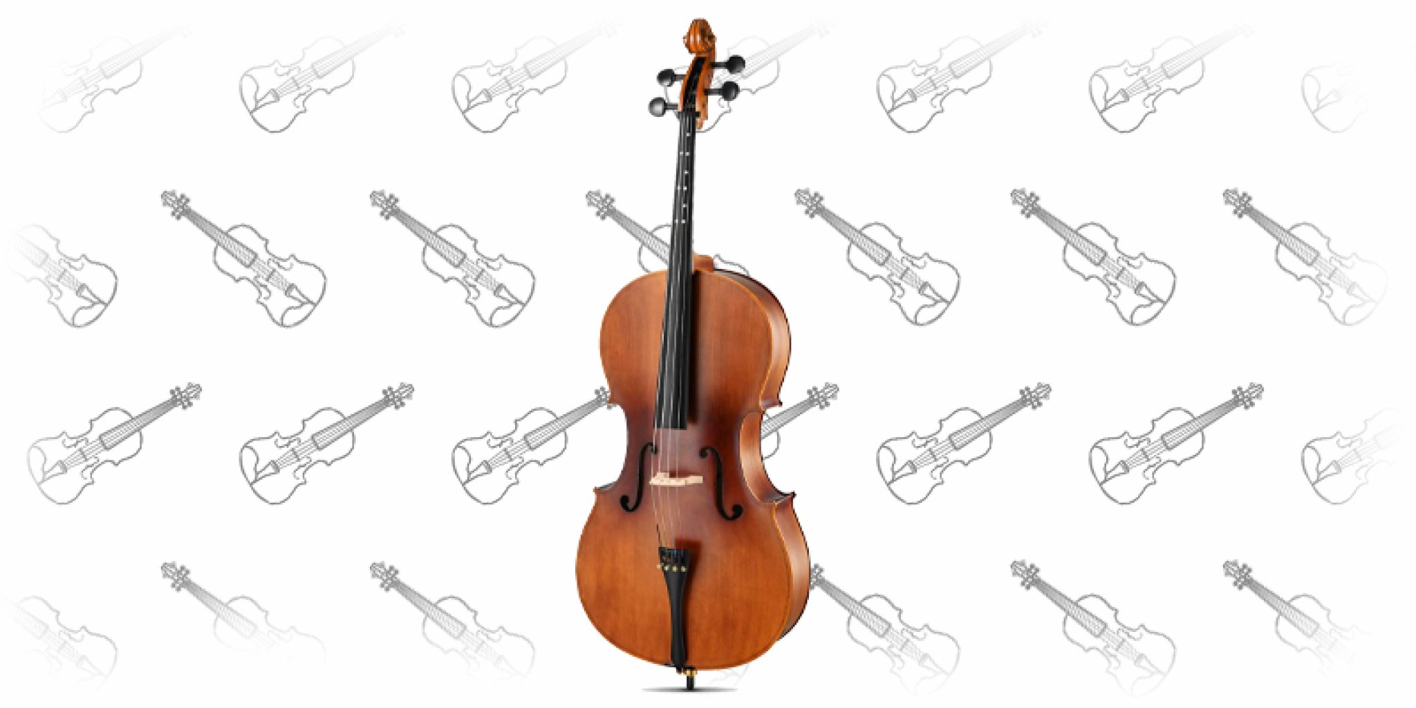 Best Cello for Beginners Our Top 10 Picks + Buyers Guide!