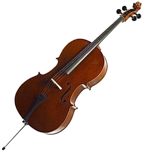 Stentor 1586 Conservatoire Cello Outfit