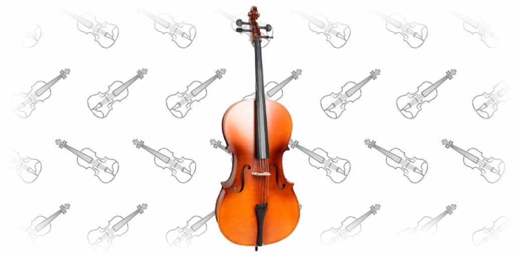 Best Cello for Beginners Our Top 10 Picks + Buyers Guide!