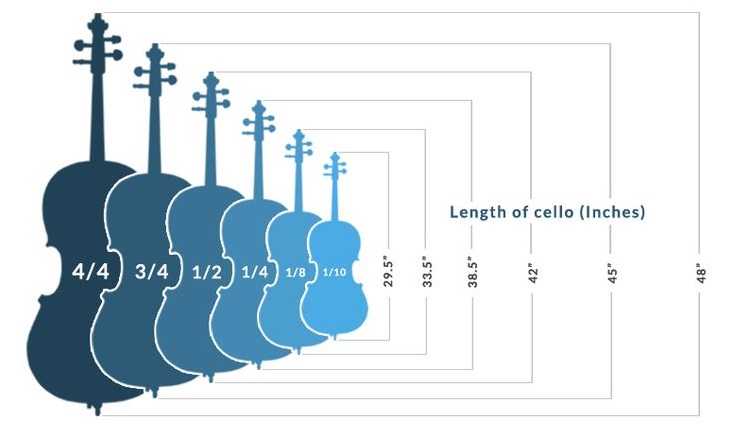 cello size