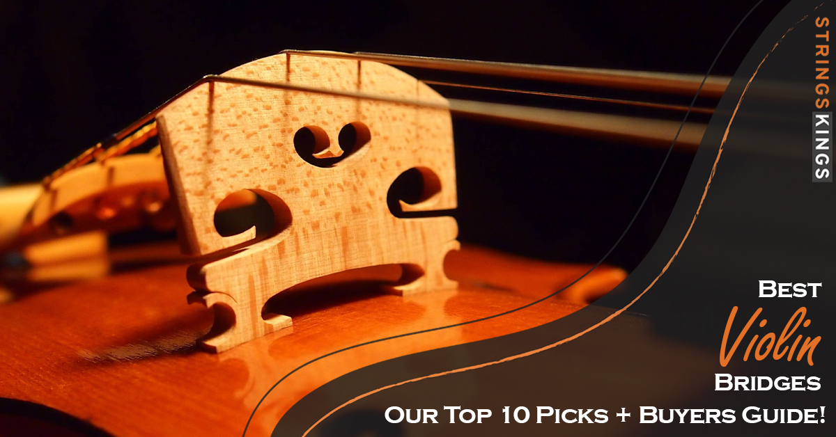 Best Violin Bridges: Our Top 10 Picks + Buyers Guide!