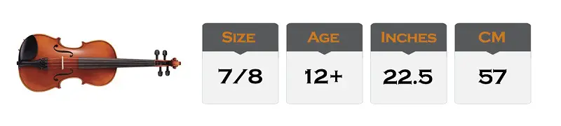 7/8 Violin Size