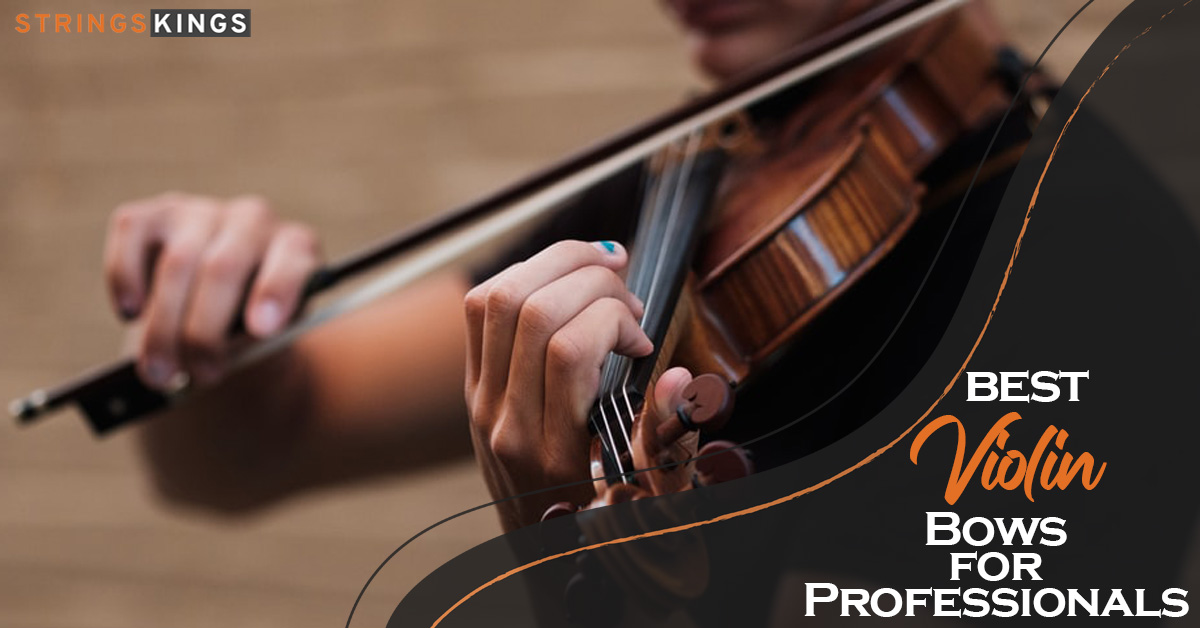 Best Violin Bows for Professionals In 2023