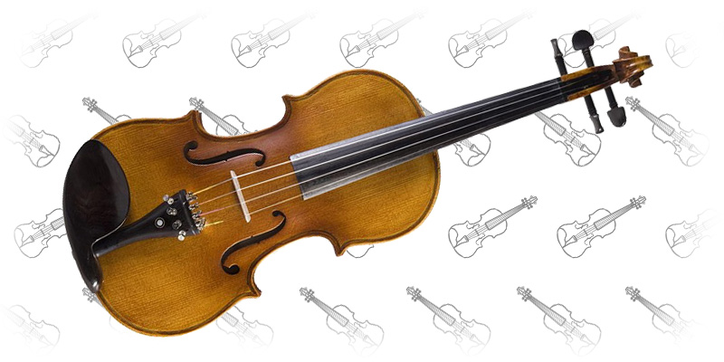 Ellers Faktura bit Cecilio Violins Review - The 7 Best Violins Available Now!