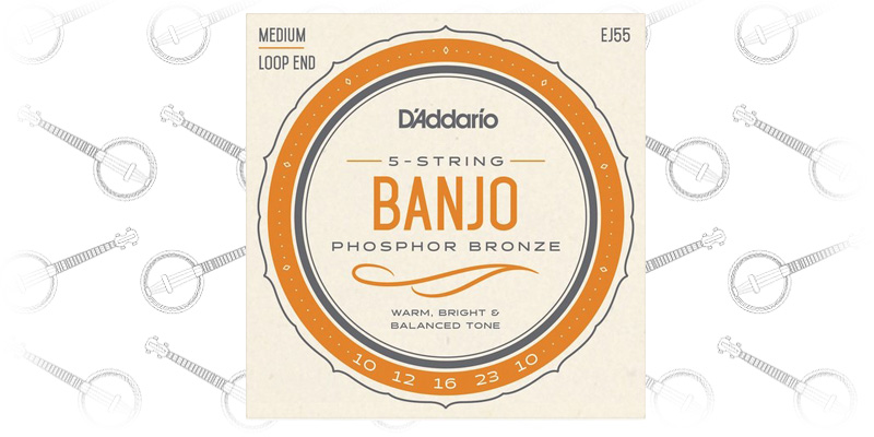 D’Addario EJ55