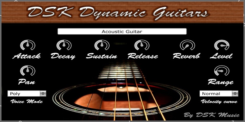 DSK Dynamic Guitars