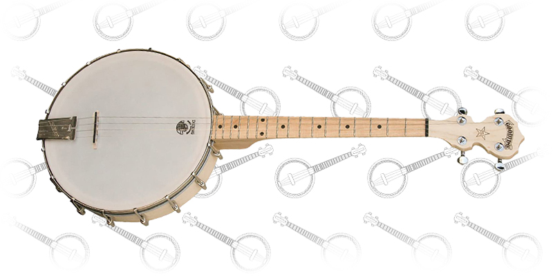 Deering Goodtime 17-Fret Tenor Banjo