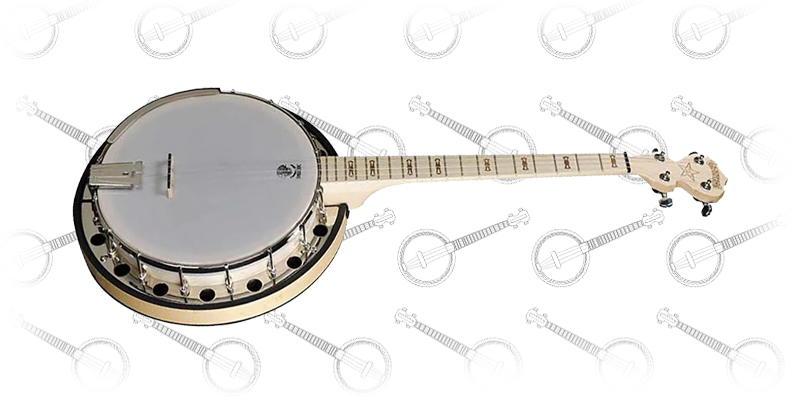 Deering Goodtime 2 19-Fret Tenor Banjo