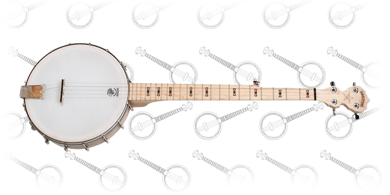 Deering Goodtime 5-String Openback Banjo