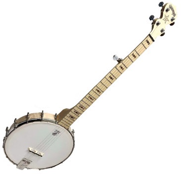 Deering Goodtime 5-String Openback Banjo