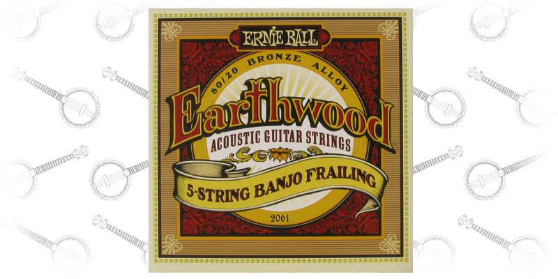 Ernie Ball Earthwood 5-String