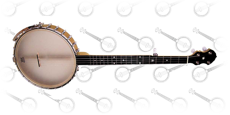 Gold Tone 5-String Banjo (CC-Carlin)