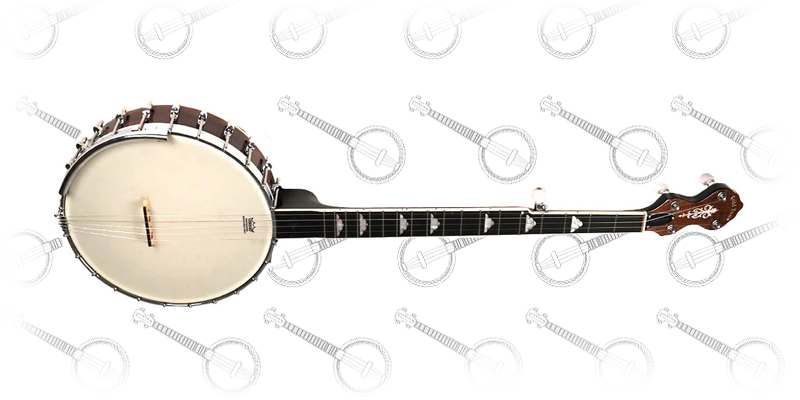 Gold Tone WL-250 White Ladye Open Back Banjo