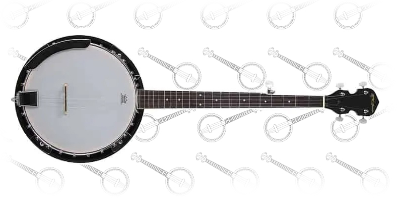 Jameson Guitars 5-String Banjo