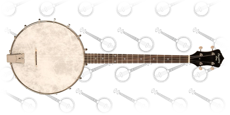 Recording King RKT-05 Dirty Thirties Tenor Banjo