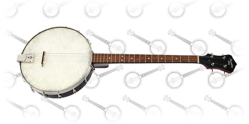 Recording King RKT-05 Dirty Thirties Tenor Banjo