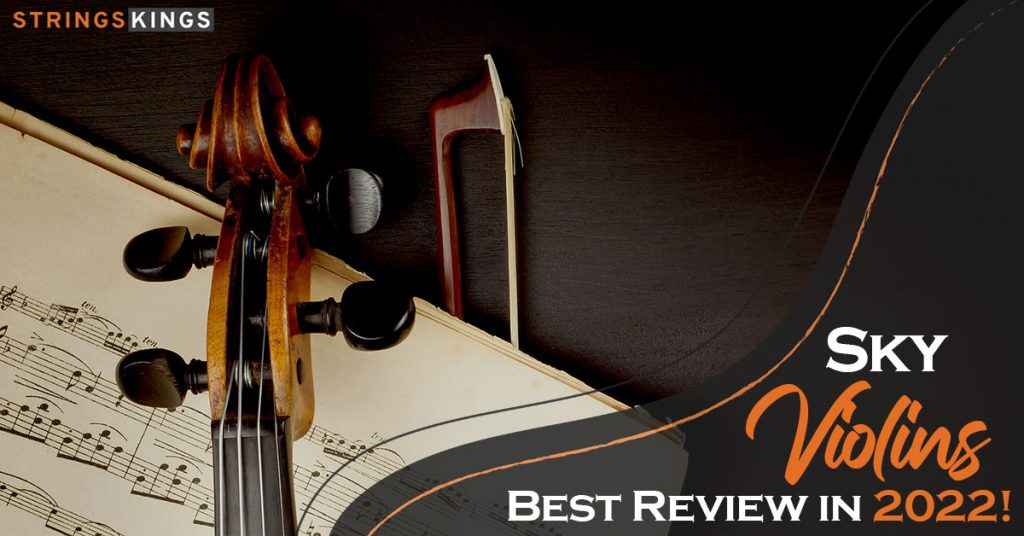 SKY Violins SKYVN102 & 201 Best Review in 2022