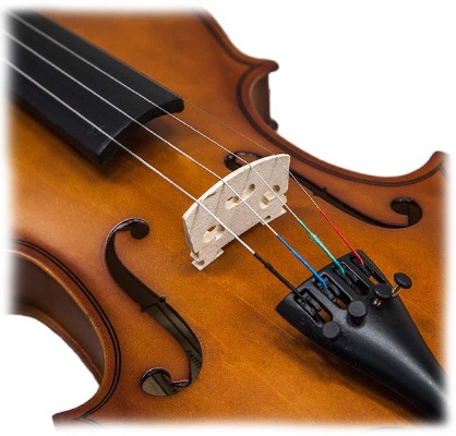 Rosin and Mute Shoulder Rest String SKY 1/2 Size SKYVN201 Solid Maple Wood Violin with Lightweight Case Brazilwood Bow 