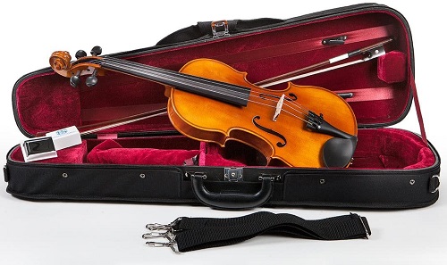 Samuel Eastman Violin Outfit 4/4
