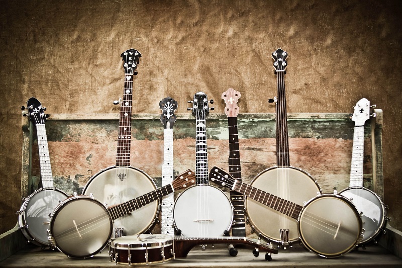 best banjo for beginners