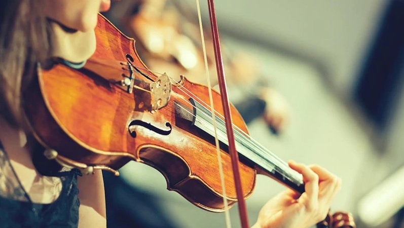 best violin brands