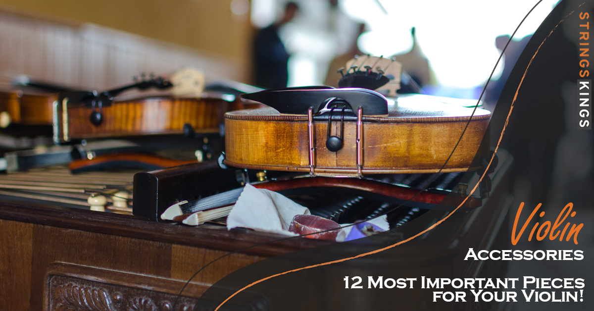 Violin Accessories: 12 Greatest Pieces for Your Violin!