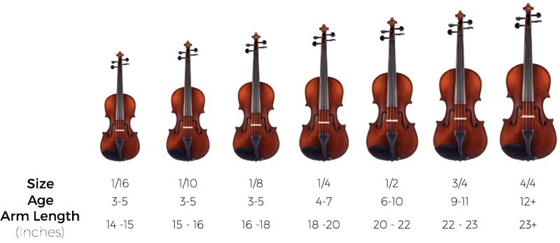 violin sizes