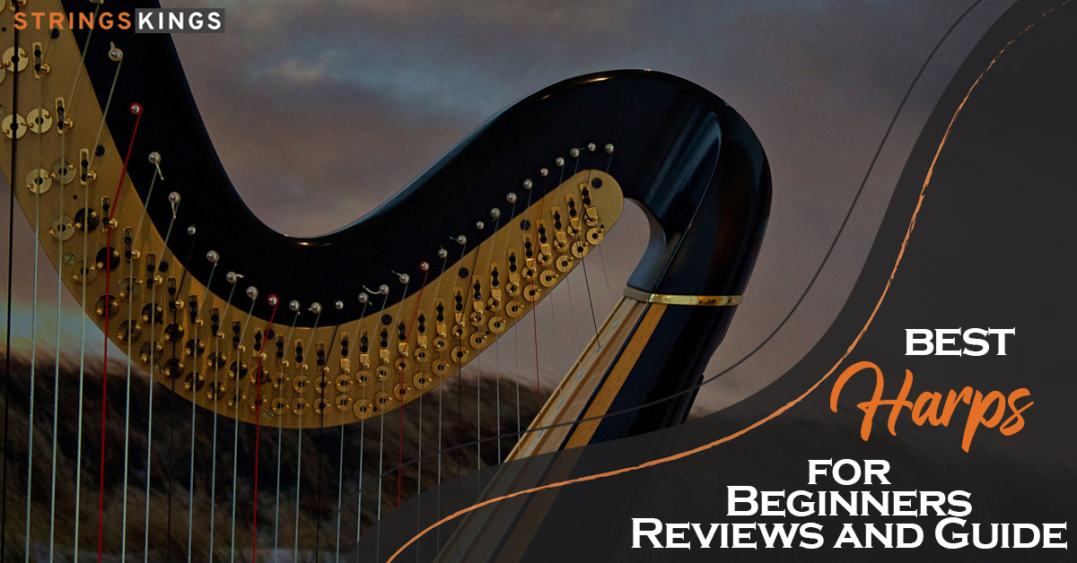 Best Harps for Beginners – 2023 Reviews and Guide