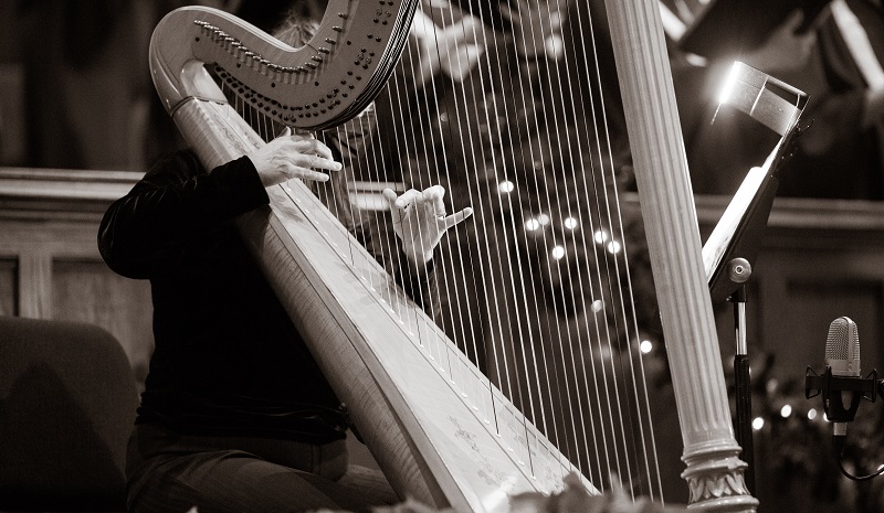Best Harps for Beginners