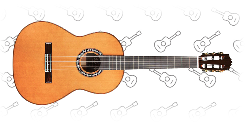 Cordoba C9 Parlor Guitar