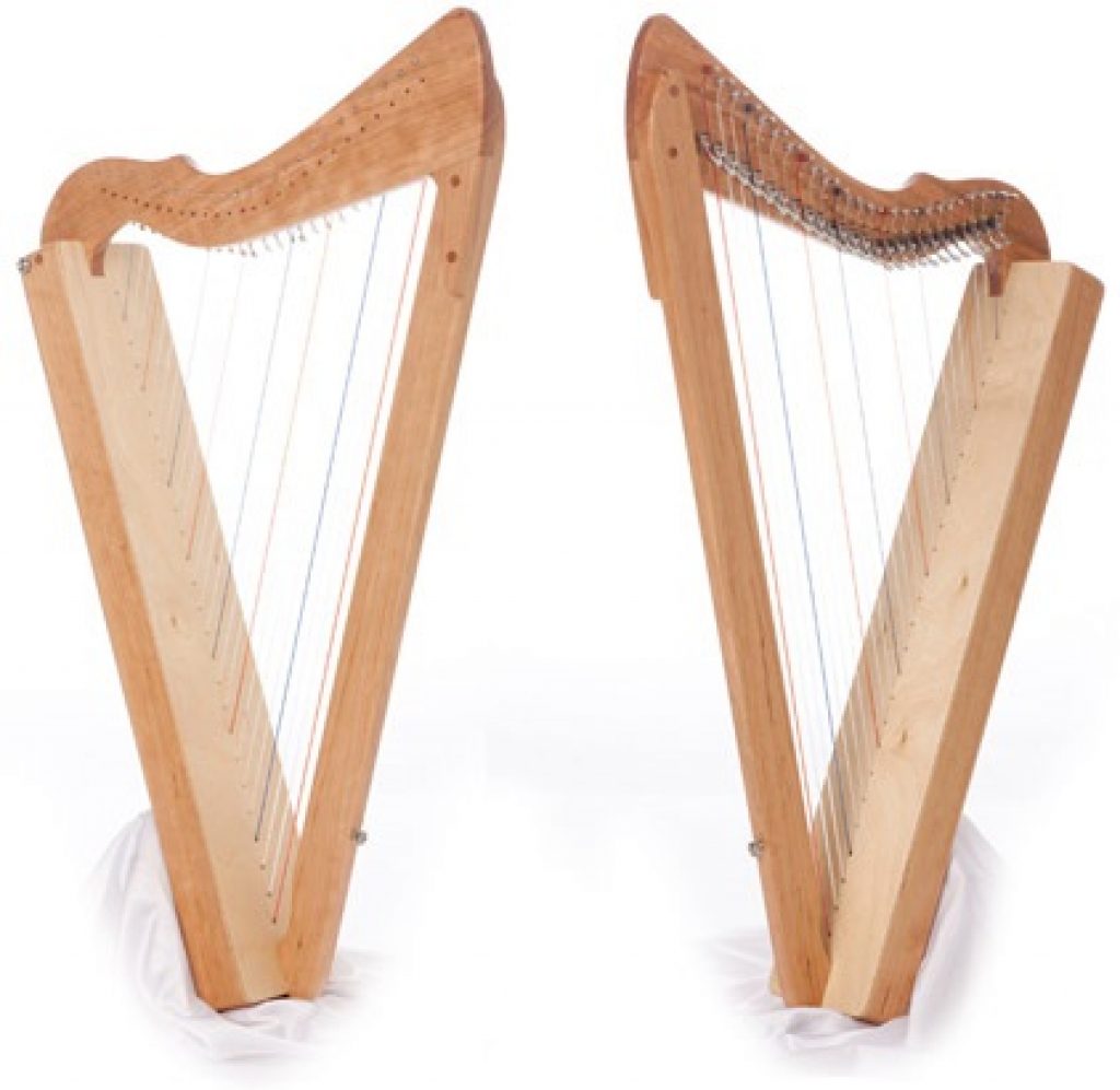 Best Harps for Beginners 2022 Reviews and Guide