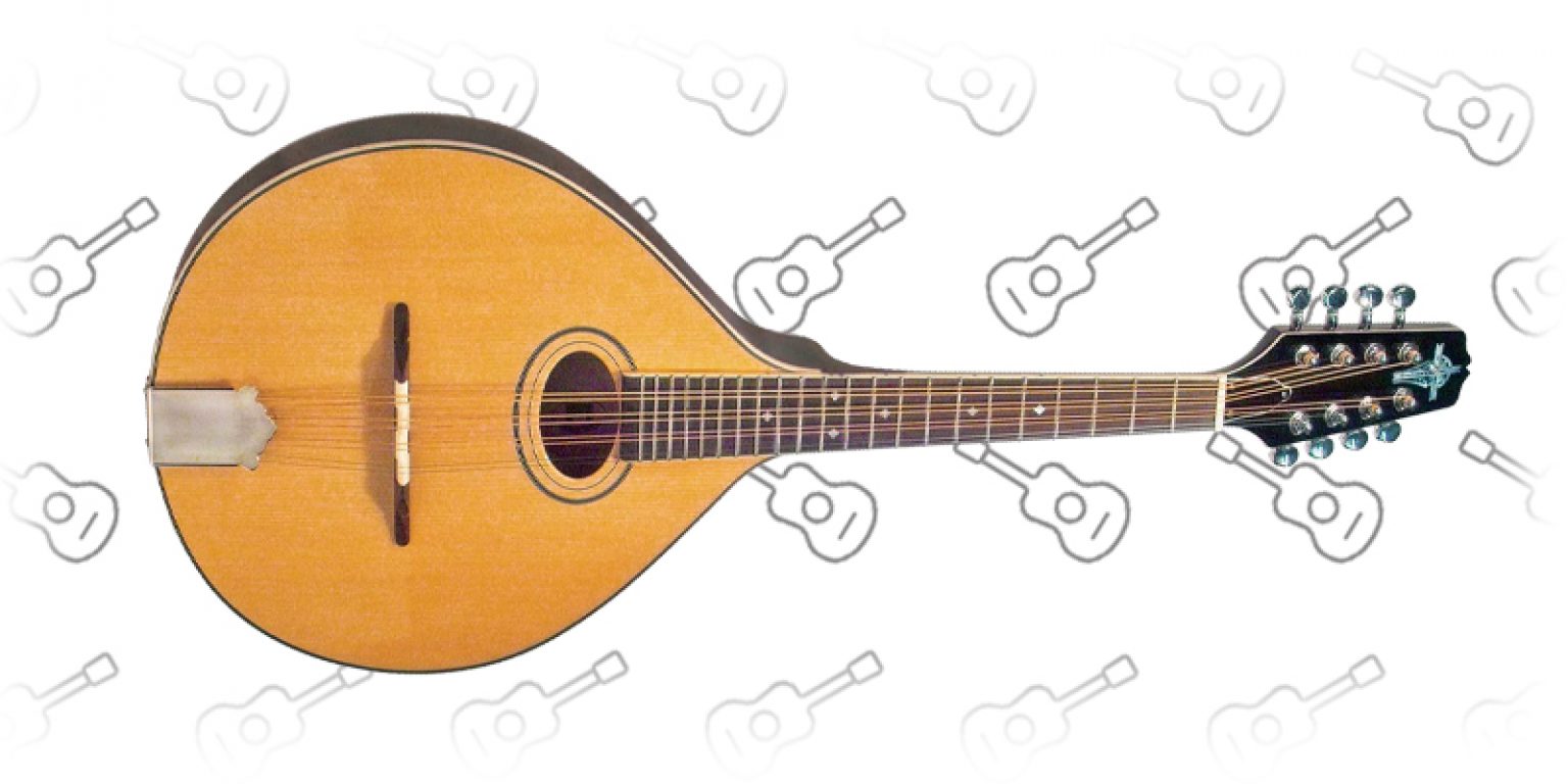 Best Oval Hole Mandolins Top 3 Models To Stay True To The Roots!