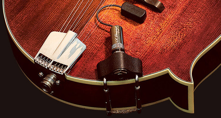 mandolin pickup photo