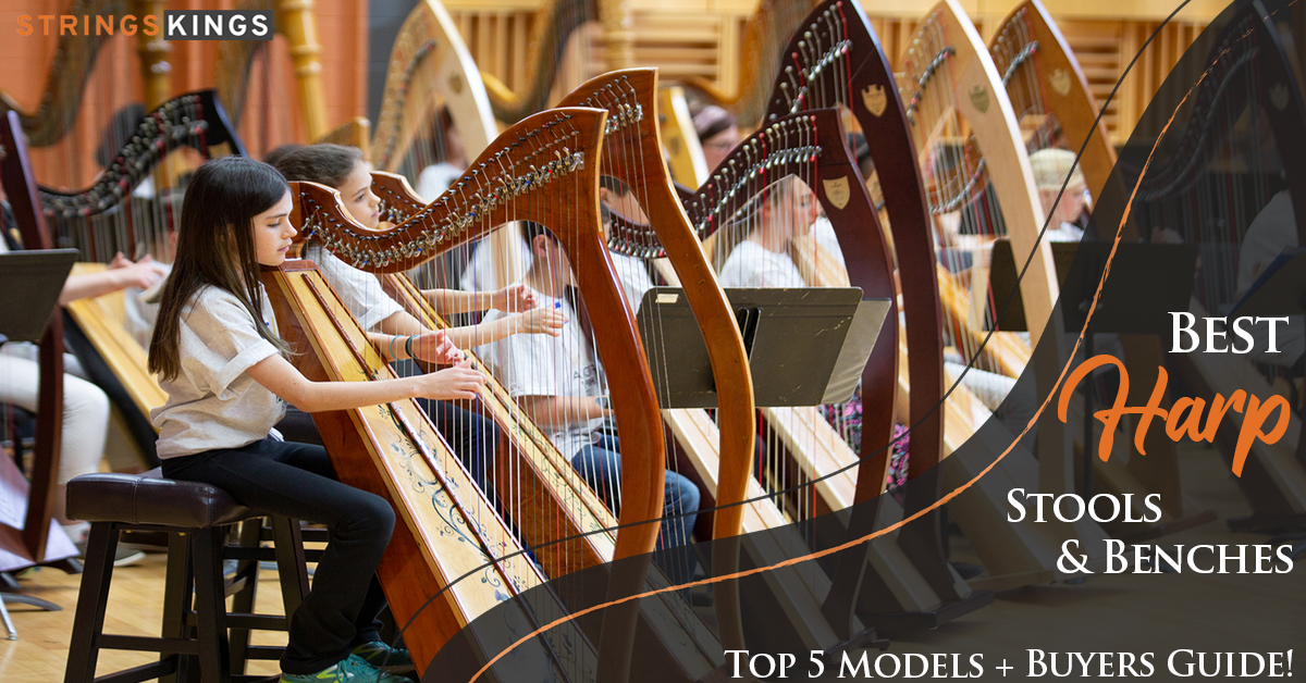 Celtic Harp vs Regular Harp? Basic Difference Between Them!