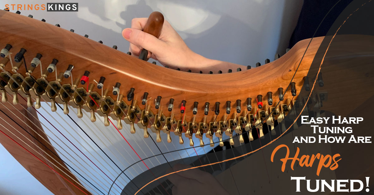 Easy Harp Tuning – How Are Harps Tuned in 2023?