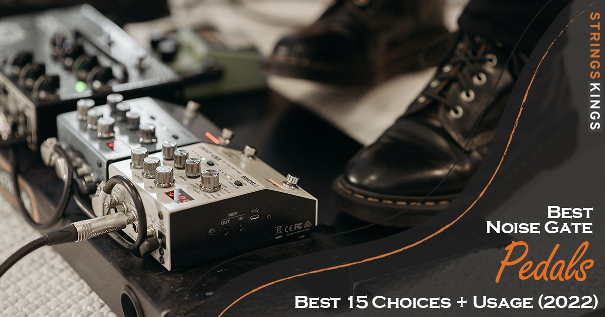 Best Delay Pedals On The Market: Top 15 Models (2022)