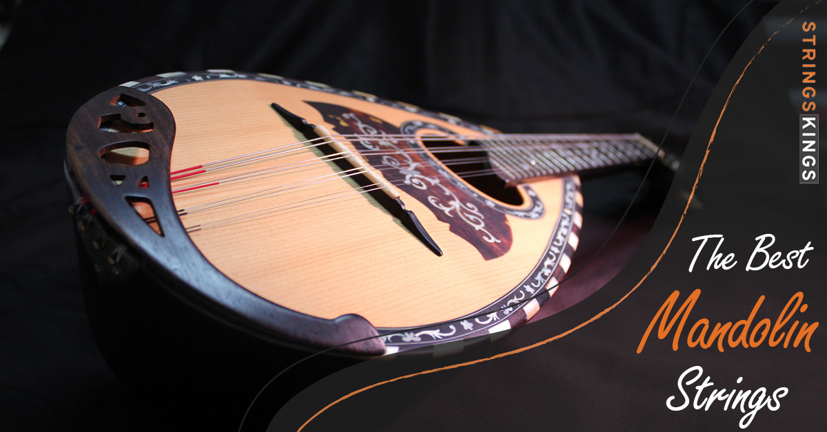 Ibanez Mandolins Review: The Best 6 Mandolins From Ibanez!