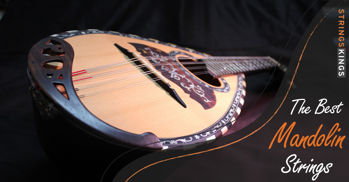 The 7 Best Mandolin Strings – Top Models + Buyers Guide!